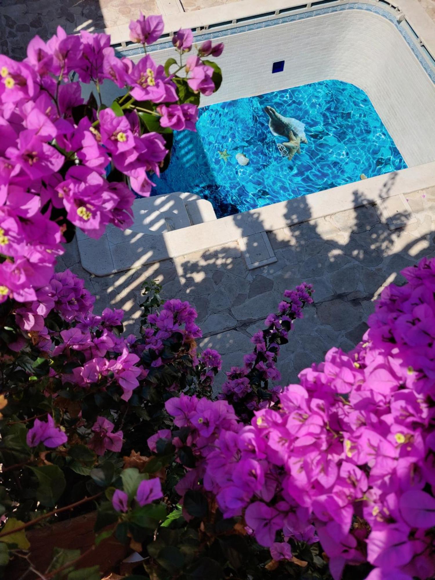 Studios Villa Romantica Zadar Dış mekan fotoğraf